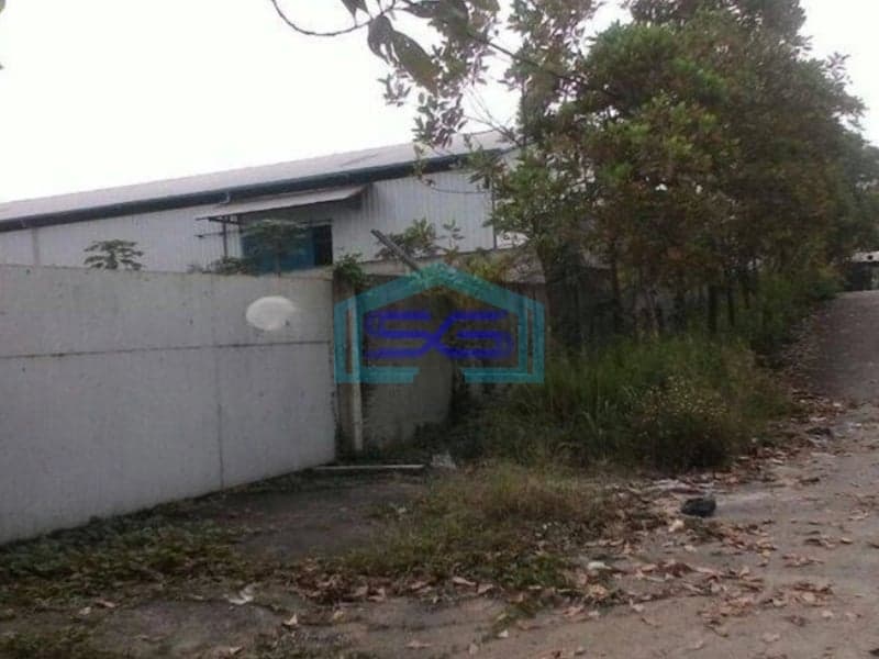 Dijual Tanah Lokasi Tanah di Tigaraksa Cileles Tangerang Luas 11 Hektar