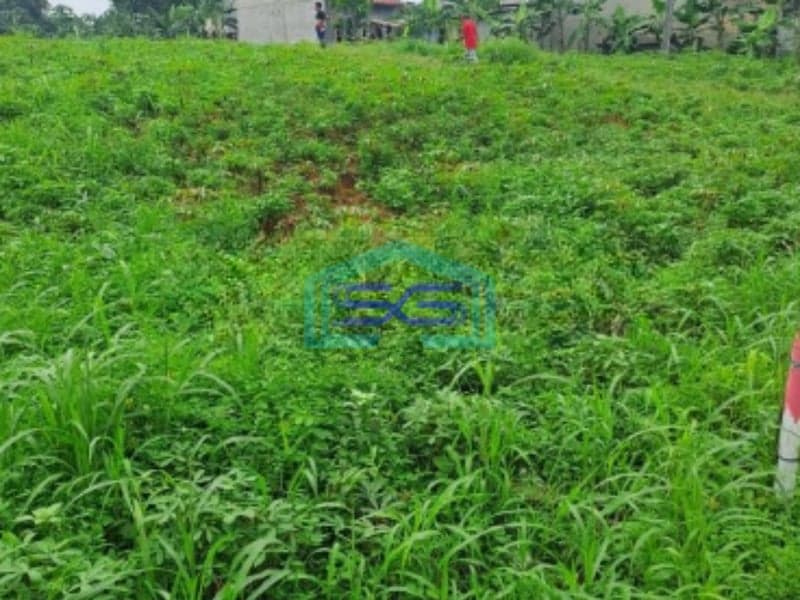 Dijual Tanah Di Kemang Bogor Luas Tanah 2000m2