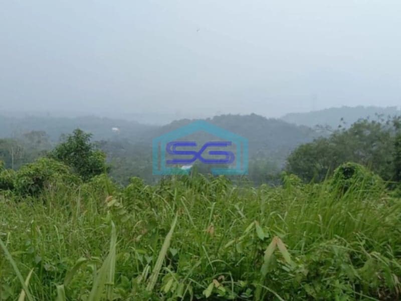 Dijual Tanah Kavling Lokasi Strategis Siap Bangun 1,2 Hektar di Desa Mekarwangi Cariu Bogor Timur
