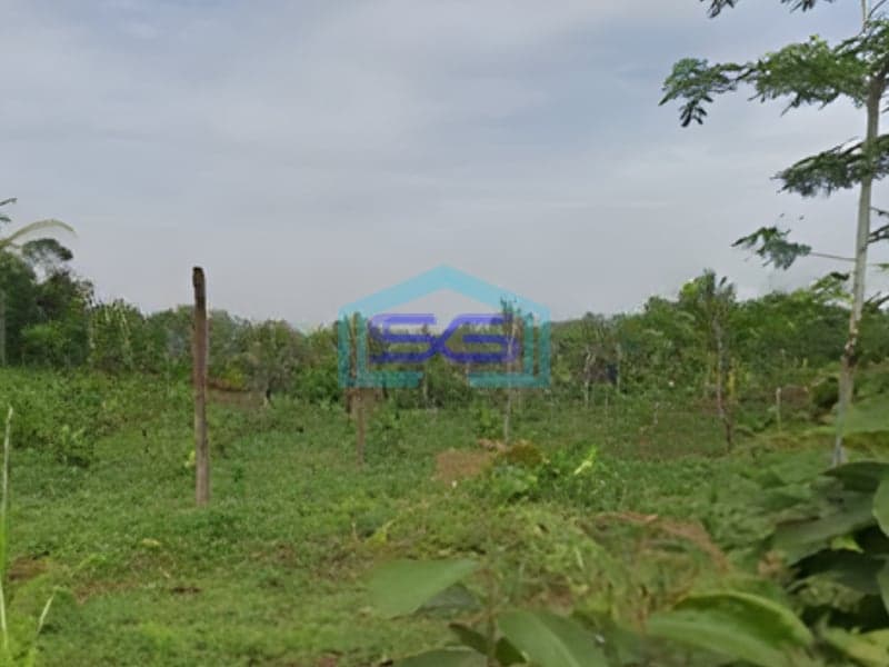 Dijual Lahan Tanah Zona Industri Lokasi Batang Jawa Tengah Luas 100 Hektar