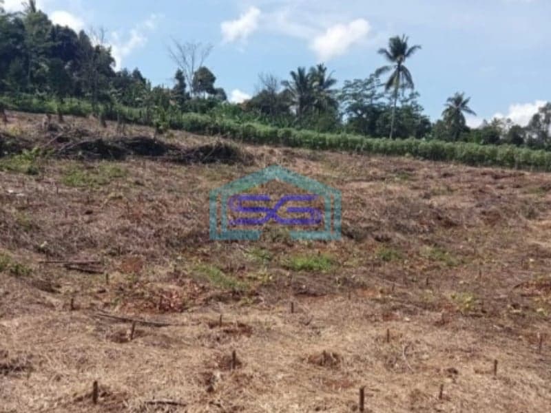 Dijual Tanah Bagus Datar Cikembar Sukabumi Luas Tanah 24000m2