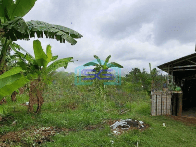 Dijual Tanah dan Bangunan Luas Tanah 2972 m² di Sepatan Timur Tangerang