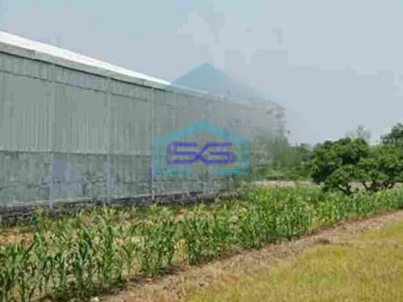 Dijual Tanah Cocok Untuk Gudang di Gresik LT 3652m2