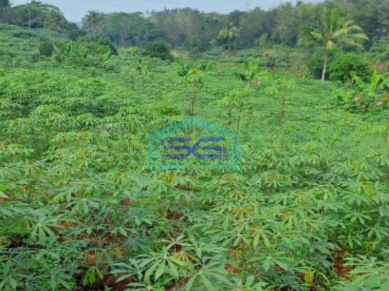 Dijual Tanah di Cibodas Rumpin Bogor Luas Tanah 6000m2