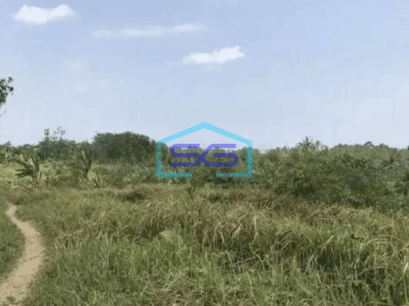 Dijual Tanah Harga Murah di Sobang Pandeglang Banten