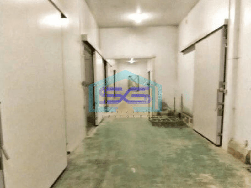 DISEWAKAN GUDANG COLD STORAGE SEMARANG