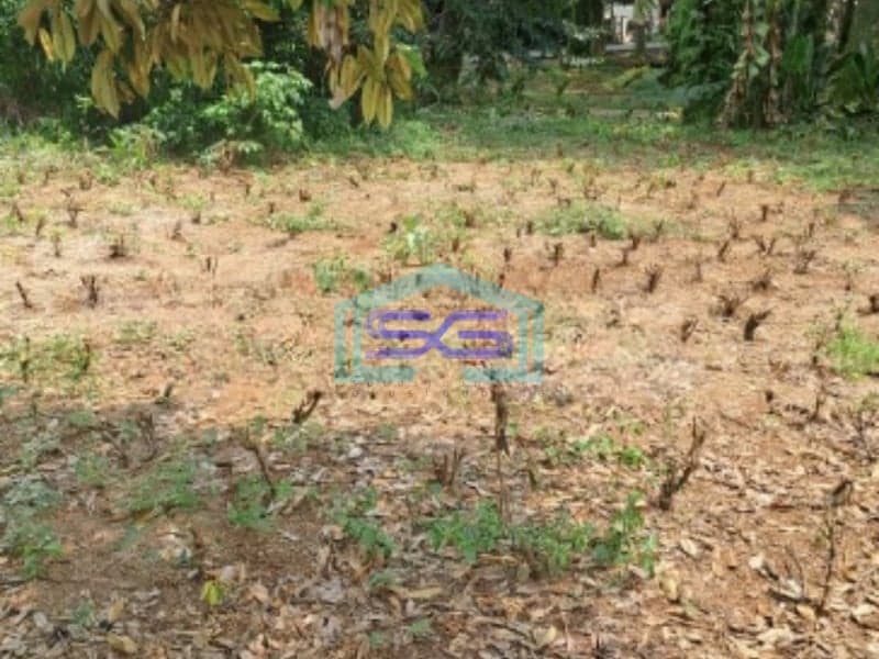 Dijual Tanah Di Kemang Bogor Luas Tanah 3500m2 SHM