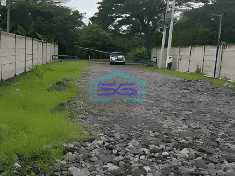 Dijual Gudang Bagus Siap Pakai di Jalan Raya Godong Demak