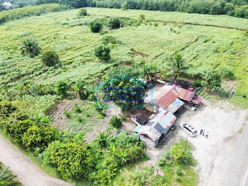Disewakan Lahan di Tepi Jln Raya Palembang Sumatera Selatan Luas tanah 3.6 Ha
