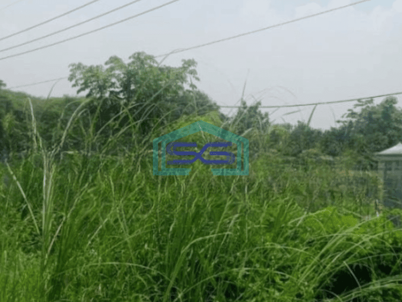 Dijual Tanah Luas 4300 m² Lokasi Sangat Startegis di Karawang Barat