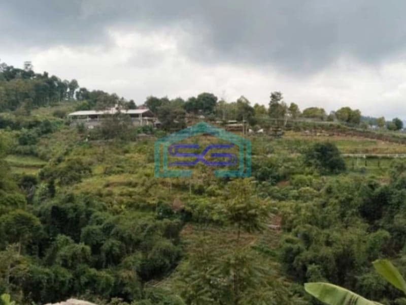 Dijual Tanah Lokasi di Pagerwangi Lembang Bandung
