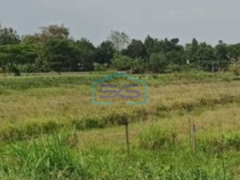 Dijual Tanah Luas 4283 m² Lokasi di Klaten Jawa Tengah