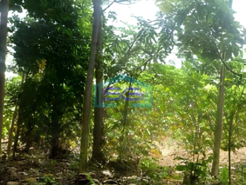 Dijual Tanah Luas 23000 m² Lokasi di Beji Depok