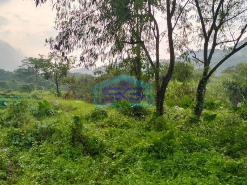 Dijual Tanah di Kembang Kuning Klapanunggal Bogor Zona Industri Luas 3 Hektar