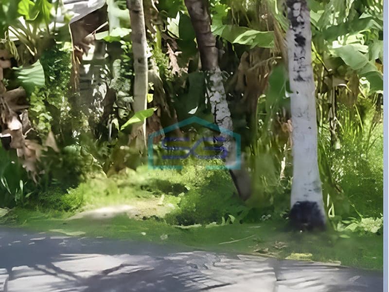 Dijual Tanah Siap Bangun di Mengwi Badung Bali Luas Tanah 1300 m²