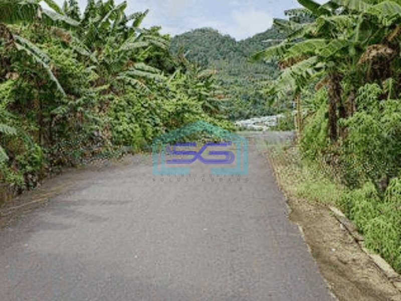 Dijual Tanah Luas 10~20 Ha Di Pandu Cocok Buat Real Estate Kantor Gudang Manado