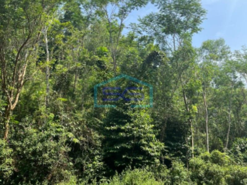 Dijual Tanah di Nglanggeran Patuk, Gunung Kidul LT 1969 m2