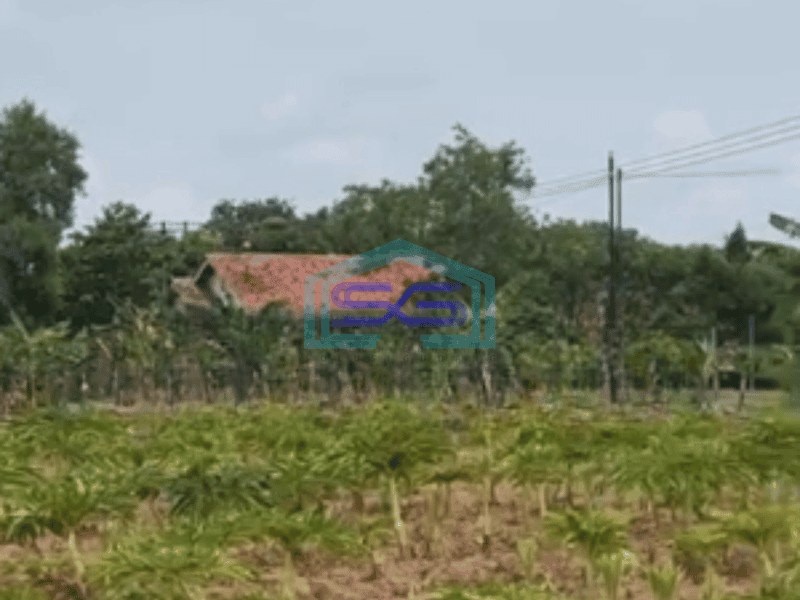 Dijual Tanah di Kertajati Jawa Barat Luas Tanah 30000 m²