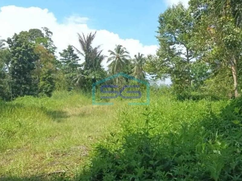 Dijual Tanah 4 Hektar Di Airmadidi Minahasa Utara Sulawesi Utara Cocok Buat Gudang Dan Industri