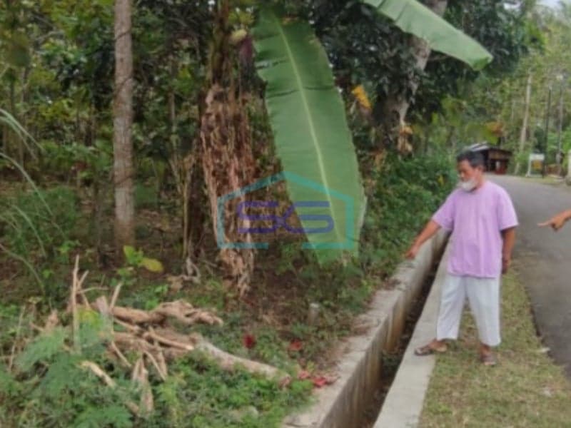 Dijual Tanah di Giripeni, Wates, Kulon Progo LT 7.431 m2