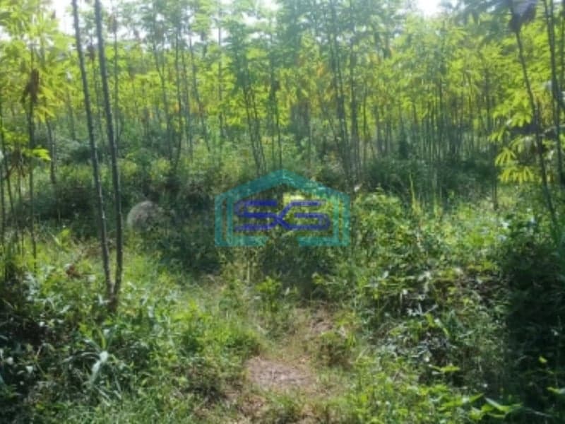 Dijual Tanah Murah Daerah Jatihandap Bawah Dan Jatihandp Utama Bandung Luas Tanah  3200 m²