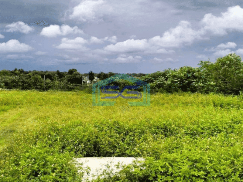 Dijual Tanah Luas 170000 m² Lokasi Strategis di Tigaraksa Tangerang
