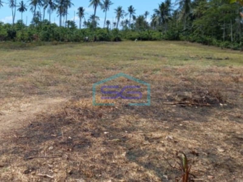 Dijual Tanah Murah Lokasi di Lampung Selatan Luas 40000 m2