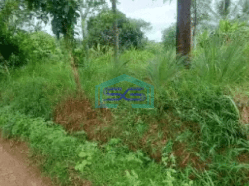 Dijual Tanah Darat Dekat Dengan Lahan Pengembang Agung Podomoro Group di Tenjo Bogor