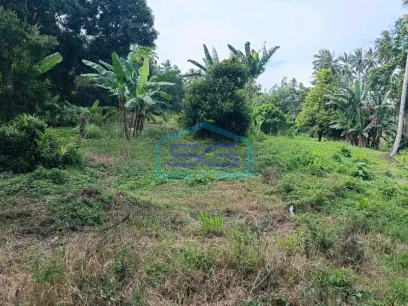 For Sale Large Land 8000m2 Kauditan, North Minahasa North Sulawesi