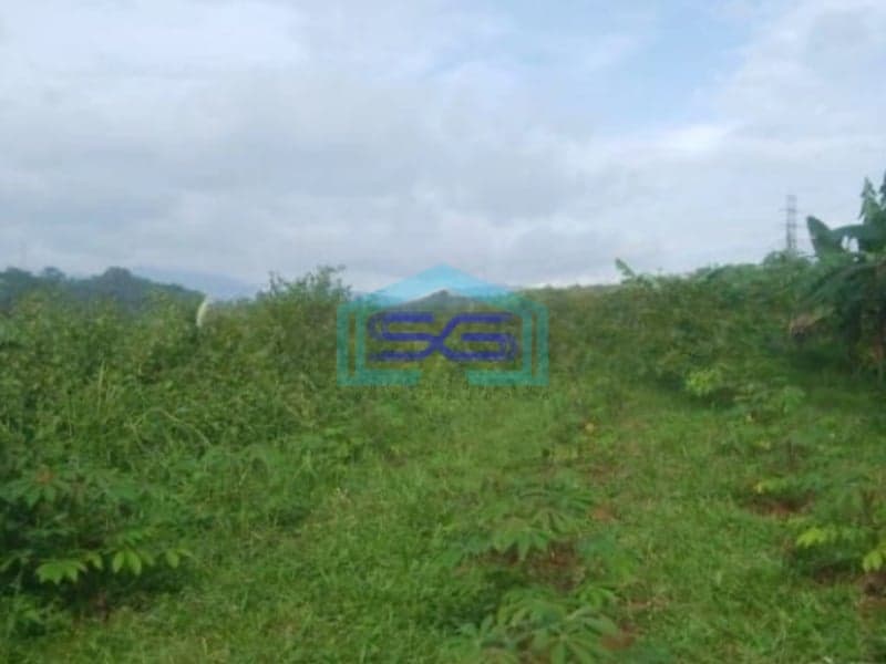 Dijual Tanah di Cibadak Sukabumi Luas Tanah 10 Hektar