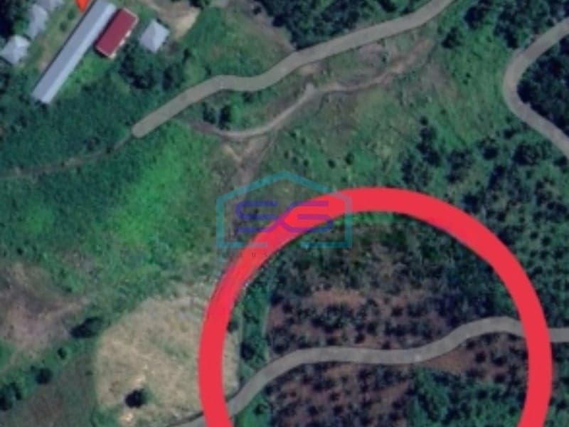 Dijual Tanah Dengah Luas 20 Hektar di Sagerat Bitung, Sulawesi Utara