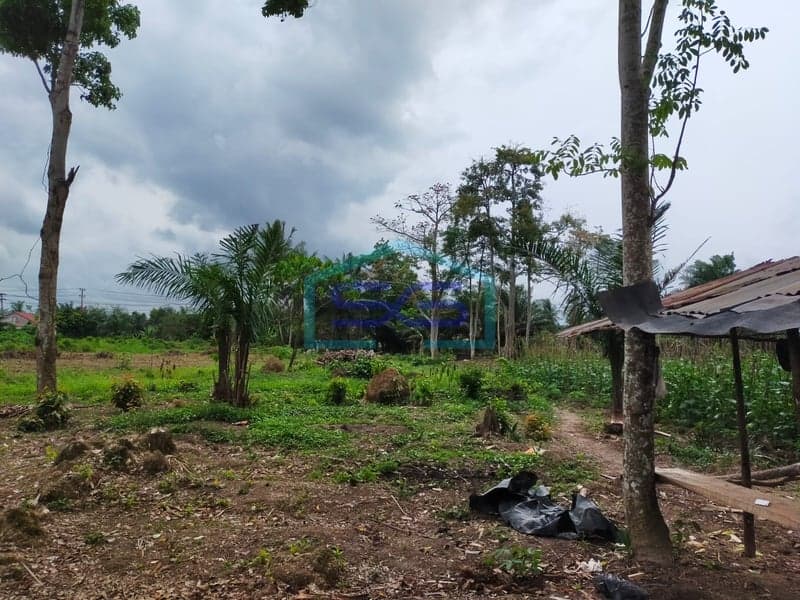 Dijual Lahan Siap Bangun 7700 m2 Lokasi Talang Buluh Banyuasin Palembang Sumatera Selatan