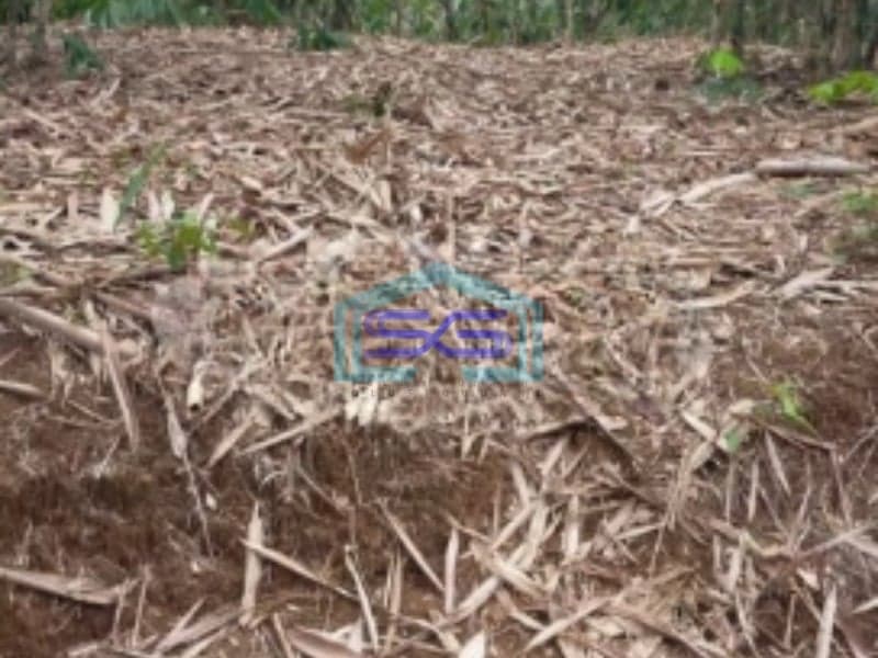 Dijual Tanah Strategis SHM Luas 1000m2 di Bojongmanggu Bekasi
