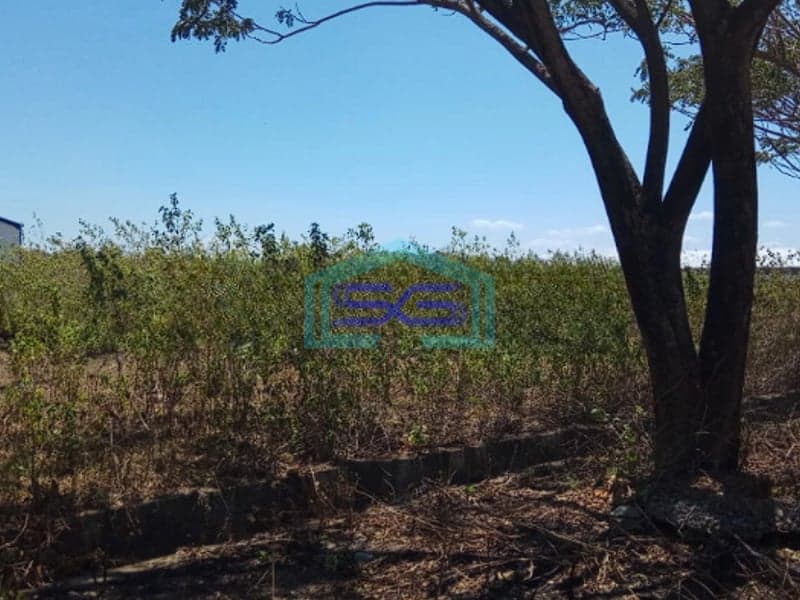 Dijual Tanah industri di Jl. Pattene Makassar Luas 10000 m²
