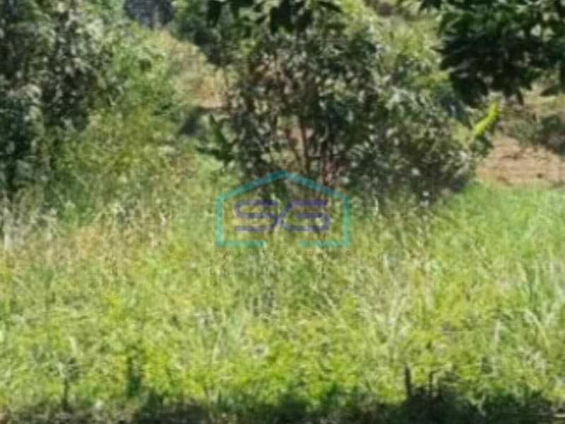 Dijual Tanah Luas 5085 m² Lokasi di Bandung Jawa Barat