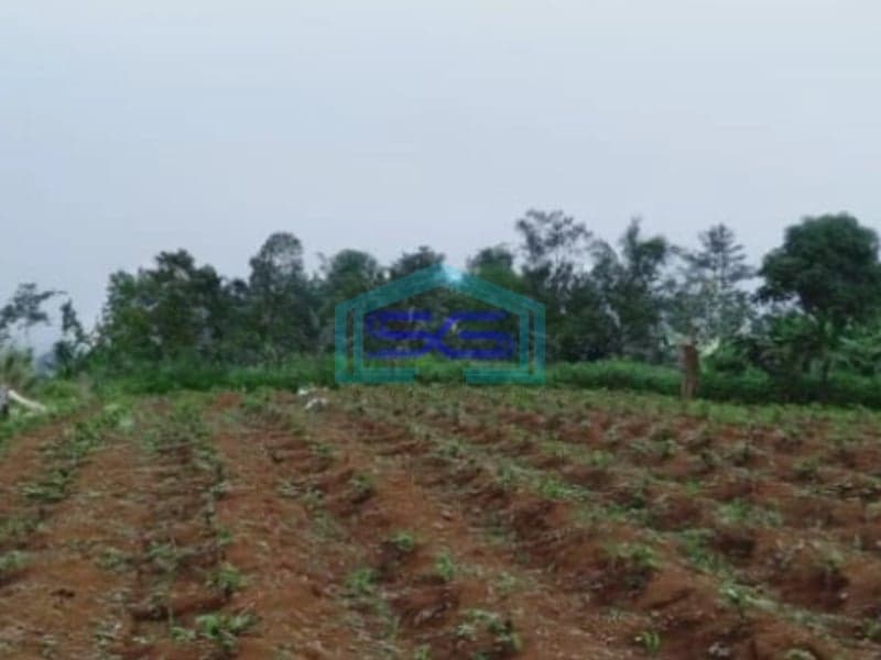 Dijual Tanah Desa Mangunjaya Ciambar Sukabumi Luas Tanah 300000m2
