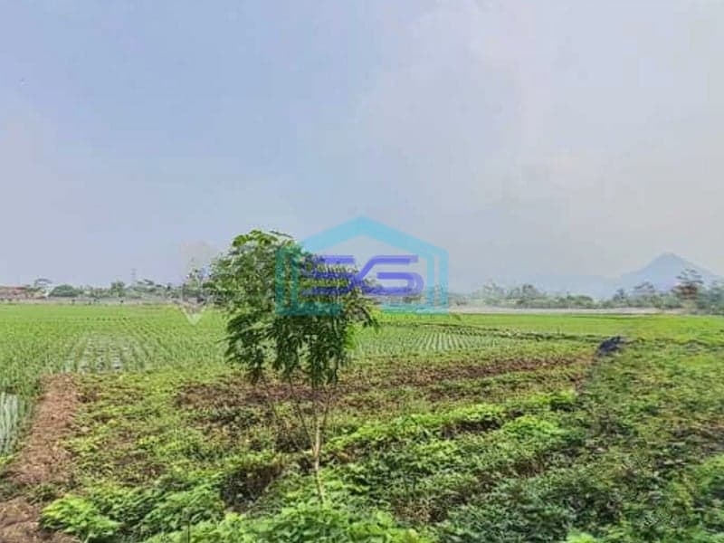 Dijual Murah Tanah 3 Menit Ke Pintu Tol Margaasih Bandung LT 70000m2