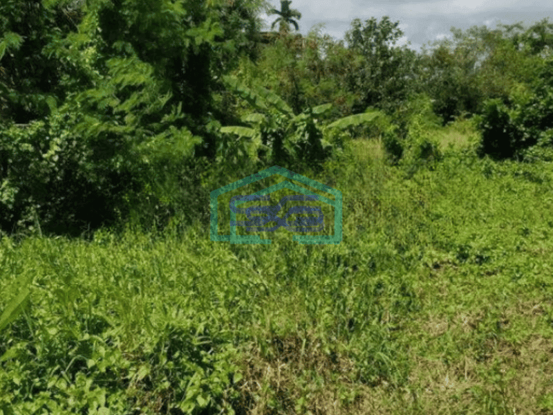 Dijual Tanah Luas  2525 m² Lokasi Strategis di Canggu Badung Bali