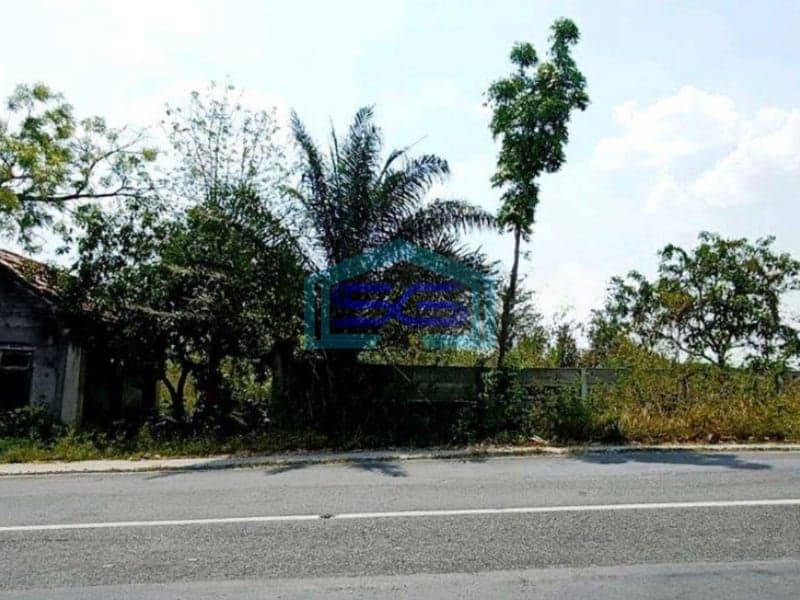 Dijual Murah Tanah Jl Raya Mantup Lamongan Cocok Untuk Pabrik Gudang Strategis LT 8000m2