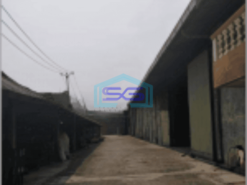 Dijual murah gudang 1 ha di Cengkareng