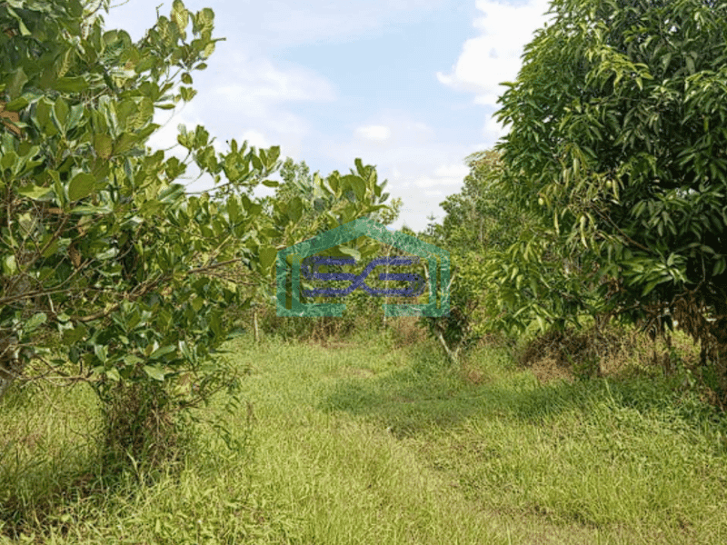 Dijual Tanah Siap Bangun di Talang Keramat Palembang Luas 2500m2