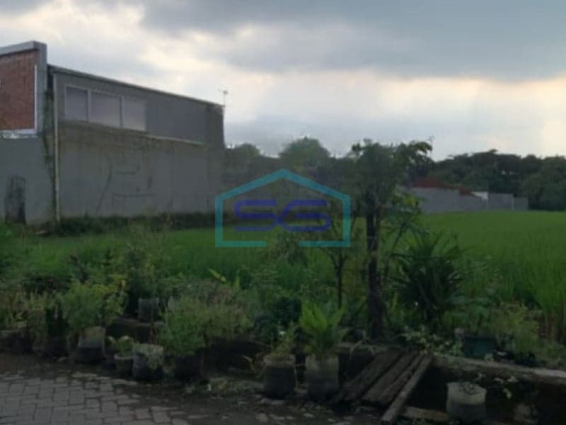 Sleman Sinduadi 出租土地 2,620 平方米
