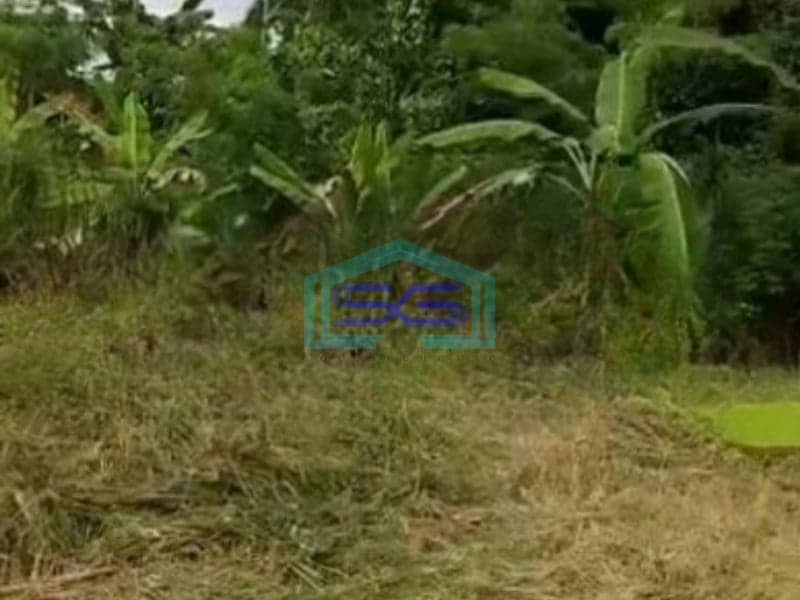 Dijual Tanah Lokasi Bagus di Cisauk Tangerang Luas Tanah 4000 m²