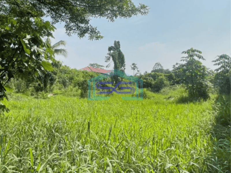 Dijual Tanah Strategis di Jalan Raya Bojongsari Depok Luas Tanah 9.260 m²