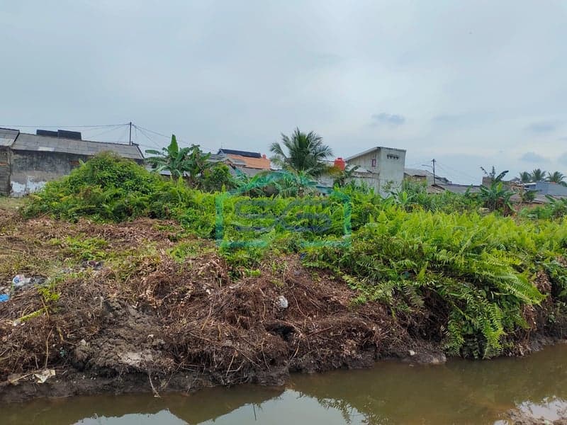 Land for Sale in Sungsang Ogan Ilir South Sumatra