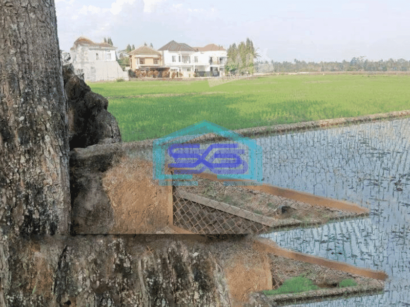 Dijual Tanah di Kepanjen Malang cocok untuk Gudang