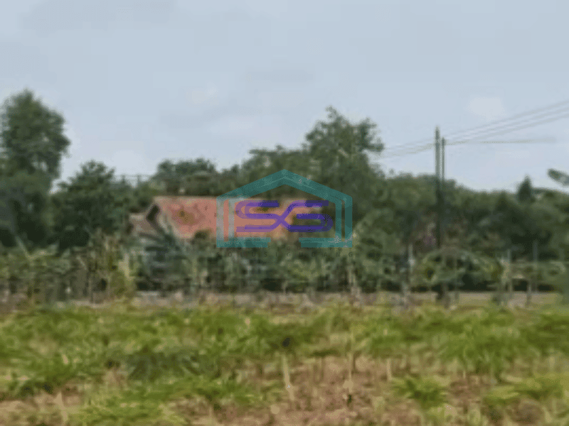 Dijual Tanah Kawasan Kertajati Jawa Barat Luas 30000m²