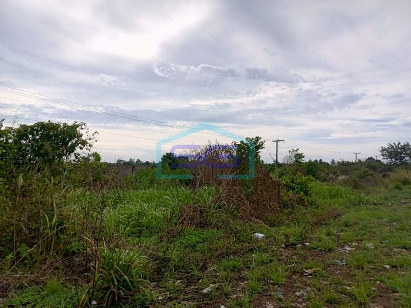 南苏门答腊省占碑崆哩依尔县超大面积土地出售 土地面积82790平方米