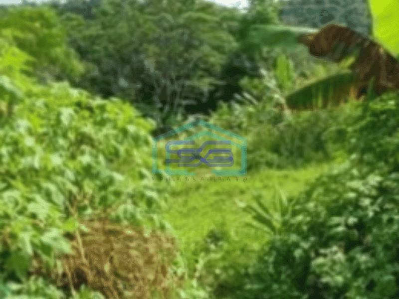 Dijual Tanah di Cibeber Jawa Barat Luas 19300m²