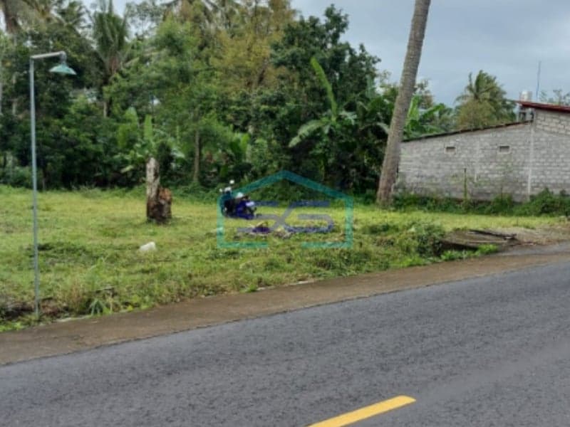 Dijual Tanah SHM Pekarangan di Wukirsari, Cangkringan, Sleman Yogyakarta LT 1309m2